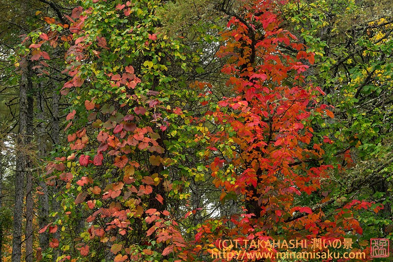 ../Images/7R251013 (22).jpg